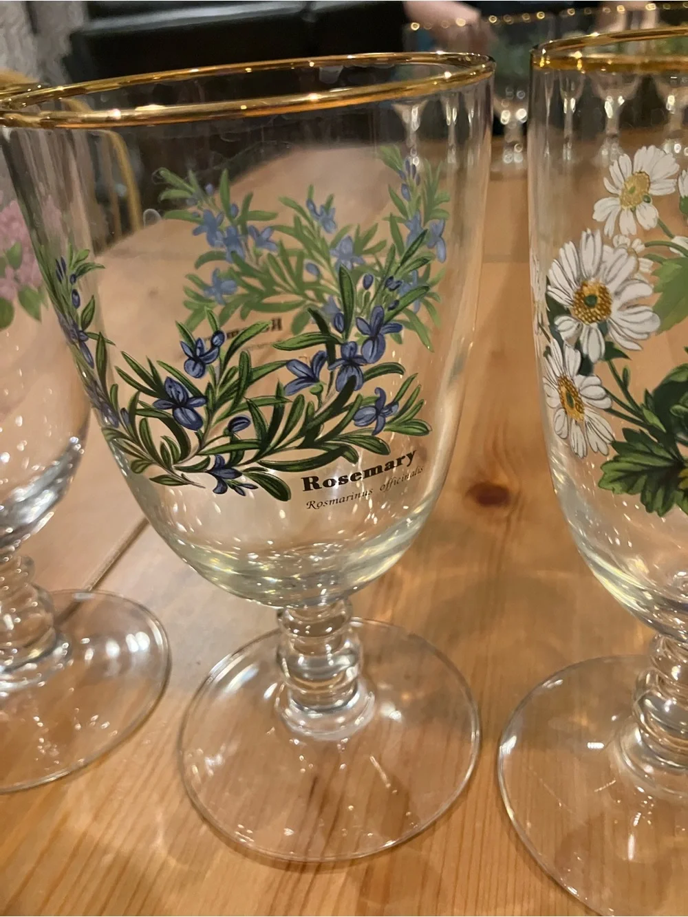 EUC Royal Worchester Herbs Stemmed Water Goblets w/Gold Rim (Set of 4) Vintage